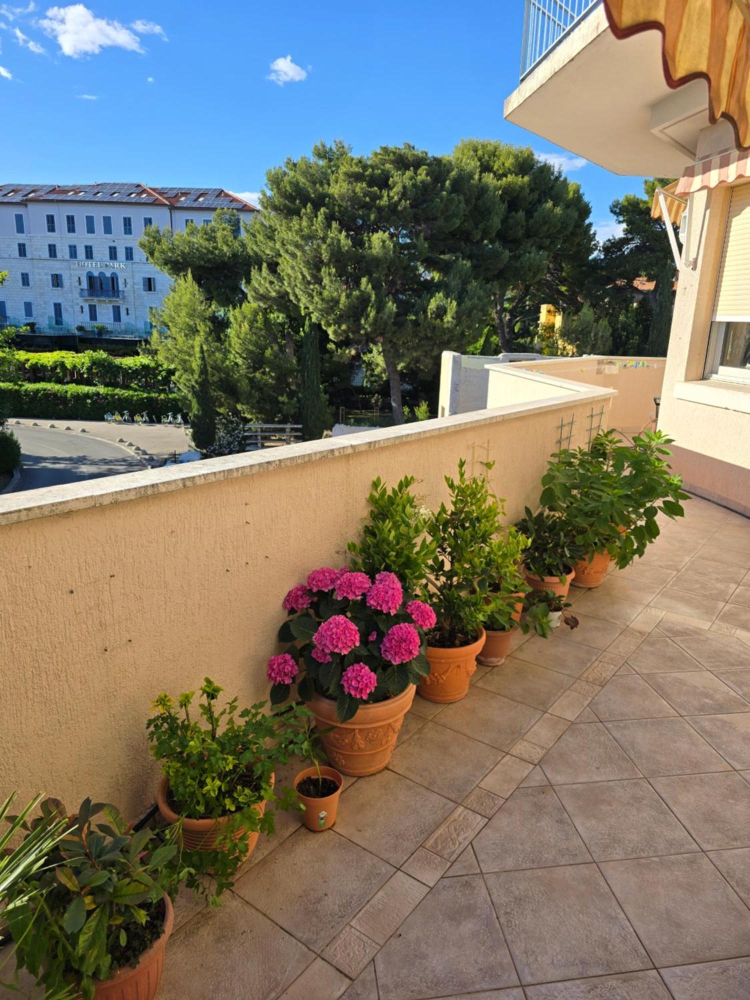 Apartament Suzy&demi *